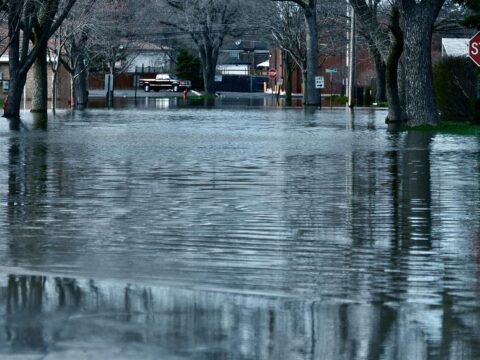 water-damage-insurance-adjusting-services
